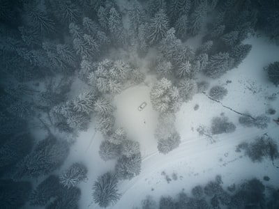 树间雪地车辆鸟瞰图